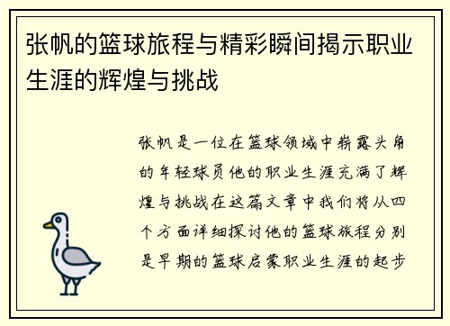 张帆的篮球旅程与精彩瞬间揭示职业生涯的辉煌与挑战