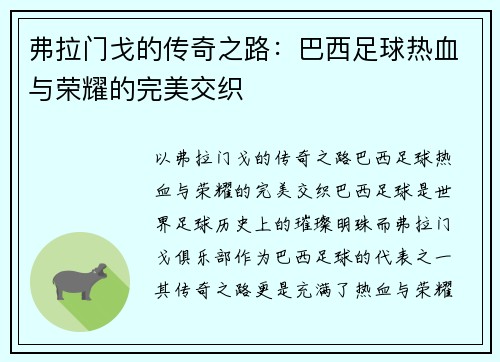 弗拉门戈的传奇之路：巴西足球热血与荣耀的完美交织